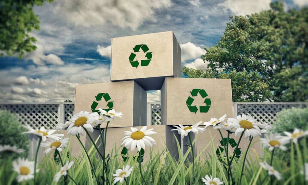 Cardboard Recycling: 4 Practical Tips To Save Mother Earth